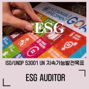 ESG  / ISO/UNDP 53001